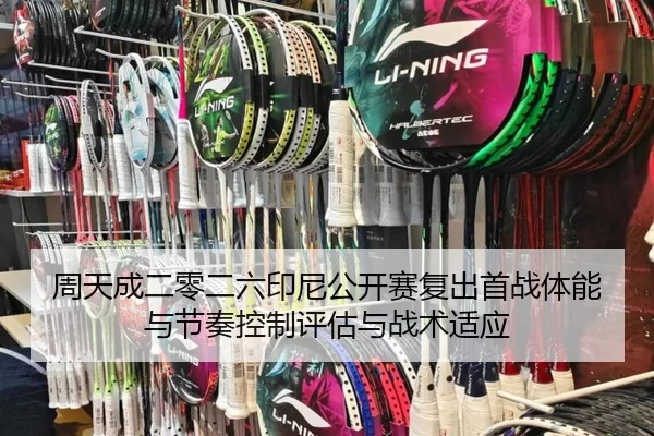 zhou-tian-cheng-er-ling-er-liu-yin-ni-gong-kai-sai-fu-chu-shou-zhan-ti-neng-yu-jie-zou-kong-zhi-ping-gu-yu-zhan-shu-shi-2-350.jpg